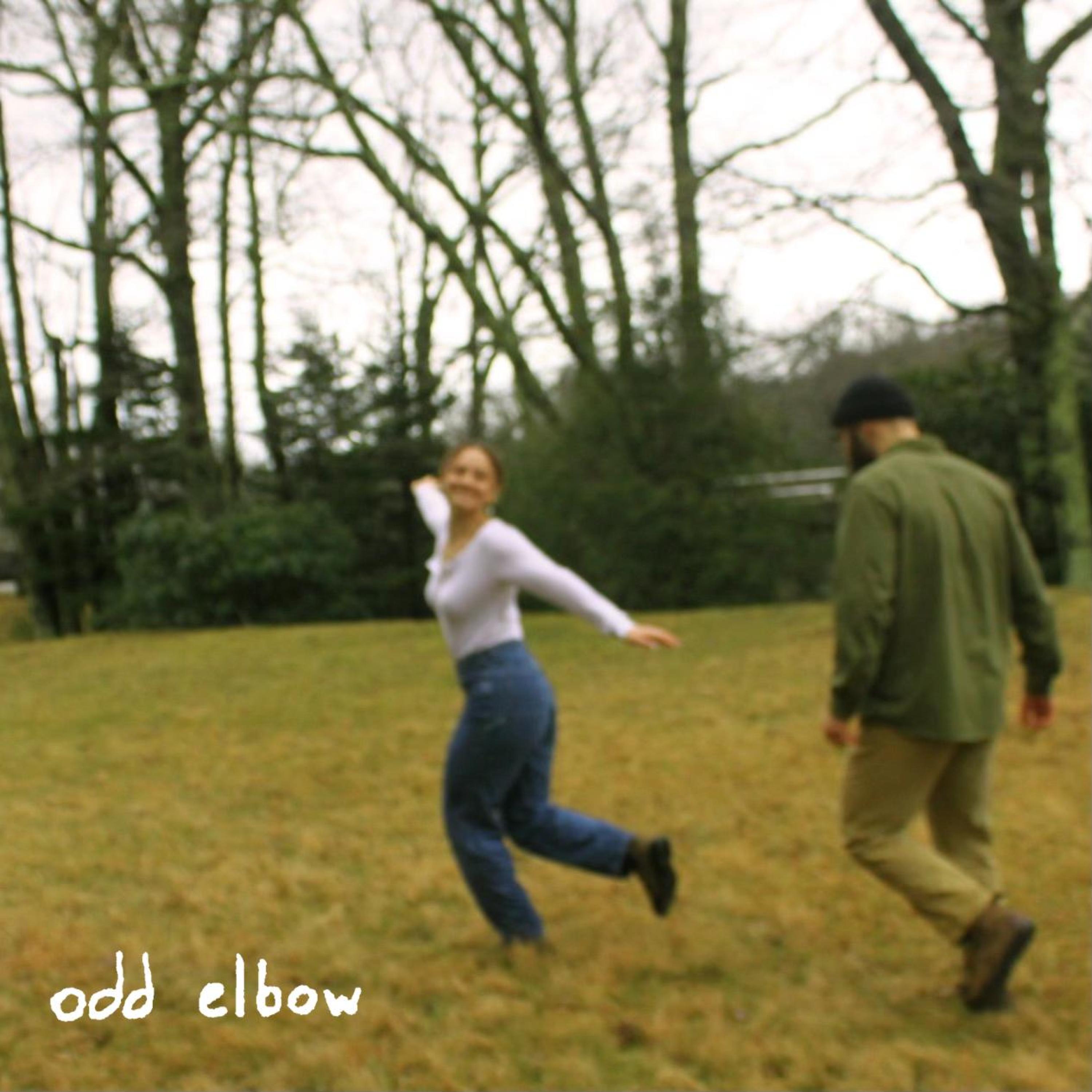 Cover art for 'wanna dance at the punk show'